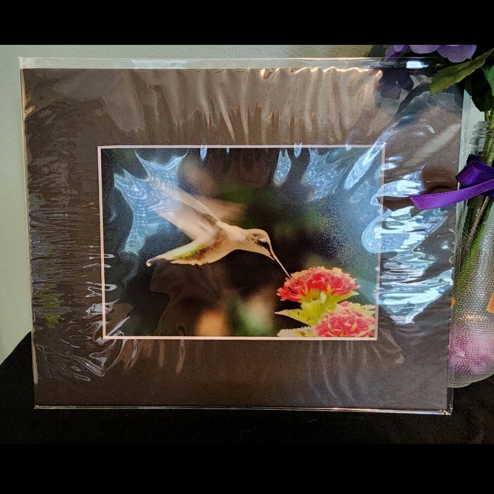 2/$13 Hummingbird In Flight Photography Print with Black Matte Frame - 8x10